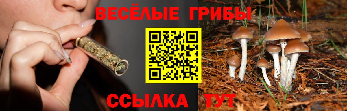 Галлюциногенные грибы Psilocybine cubensis  Вход с VPN  Миллерово 